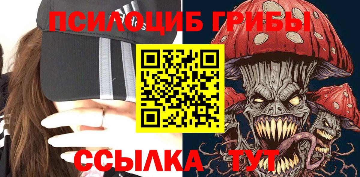 Псилоцибиновые грибы Psilocybine cubensis Белорецк